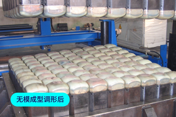 02无模成型调形后.jpg